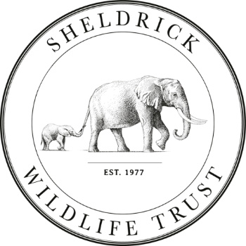 Sheldrick Wildlife Trust (SWT)